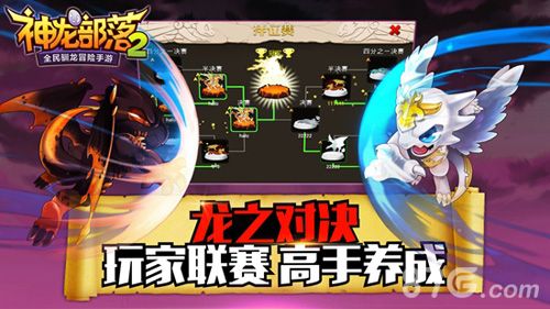 神龙部落2 对决!玩家联赛 高手养成