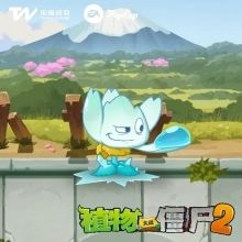 植物介绍配图4