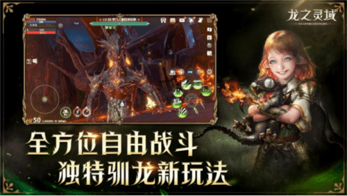 龙之灵域8