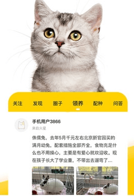 有只宠物软件宣传图2