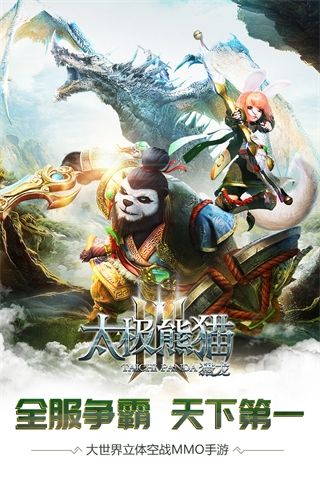 太极熊猫31
