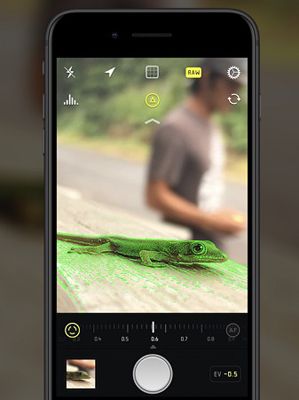 Halide Mark II免费版软件特色