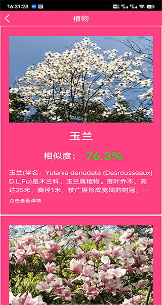 怎么识别植物配图4