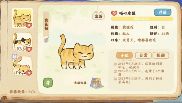 货币介绍配图1