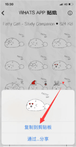 fatty cat复制App贴纸4