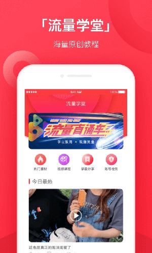 小红蚁
