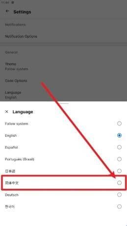 怎么设置中文配图4