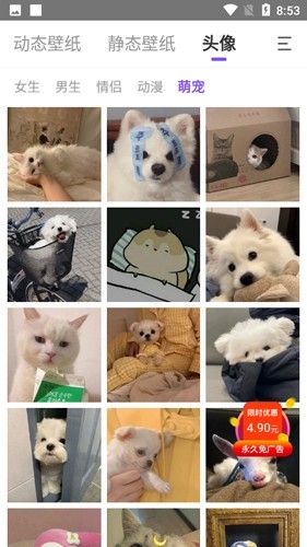 天天动态壁纸app