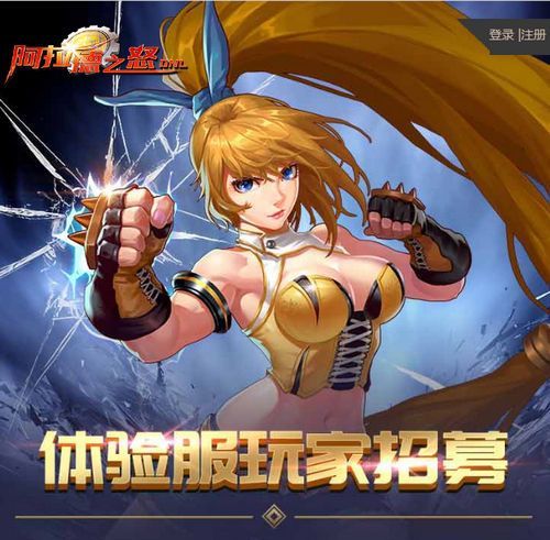 阿拉德之怒体验服申请图3