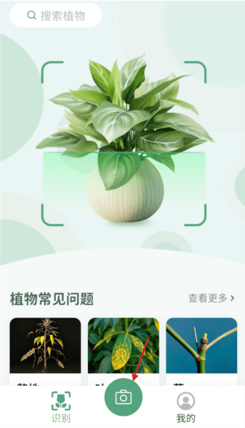 花草志6
