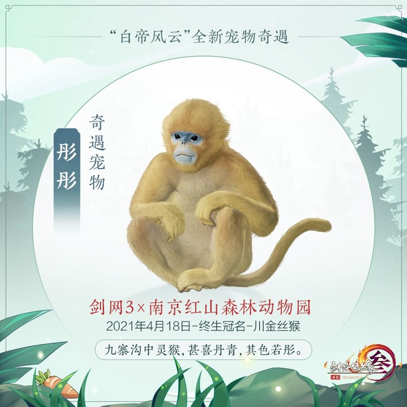 携手游园共探“好大儿” 《剑网3》与你相约红山动物园 携手游园共探“好大儿” 《剑网3》与你相约红山动物园