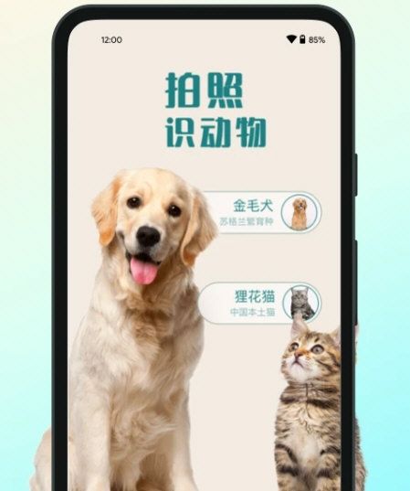花卉识别宣传图