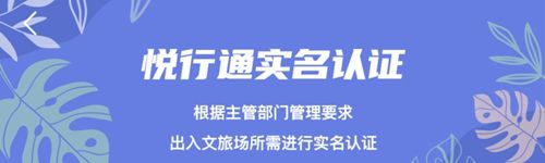悦行通app软件特色