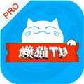懒猫影仓TV版