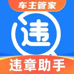 实时违章查询