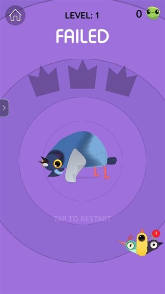 pigeonpop鸽子游戏宣传图