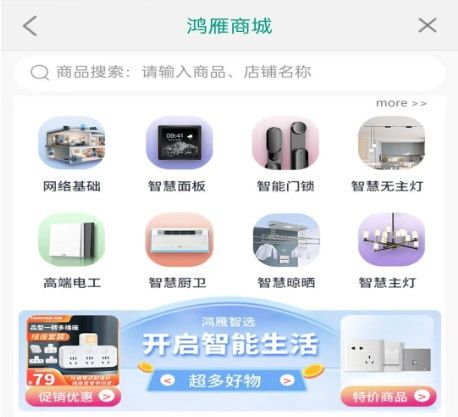 鸿雁安家2