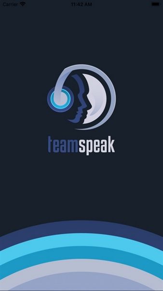 teamspeak1