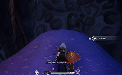 《幻塔》d01遗失的食谱获取流程分享 幻塔遗失的食谱怎么获得2