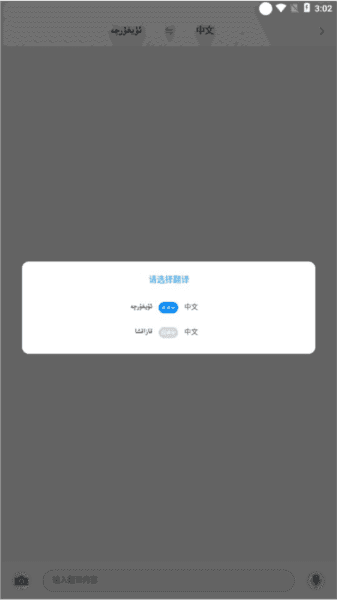 如何进行翻译配图5