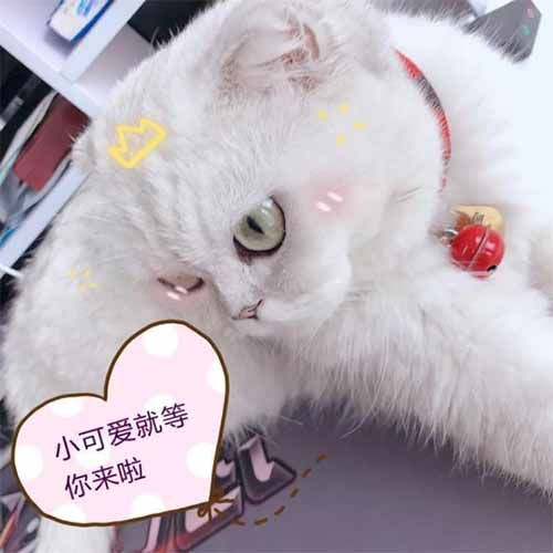 传奇来了3