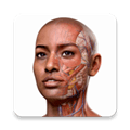 completeanatomy中文版
