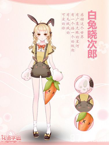 白兔晓次郎套装展示