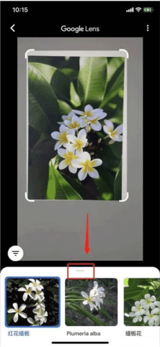 google lens app使用指南6