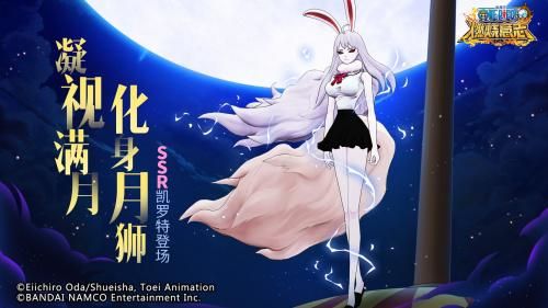航海王:燃烧意志2
