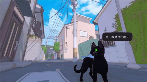 猫咪大城市游戏攻略配图1