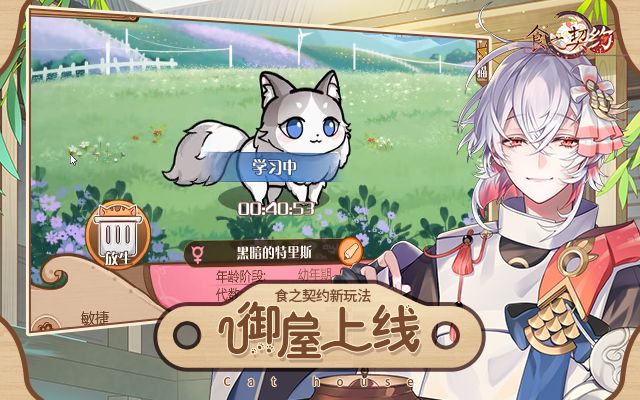 《食之契约》御屋开放萌猫到家 一起喵喵喵 《食之契约》御屋开放萌猫到家 一起喵喵喵