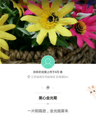 形色免费版4