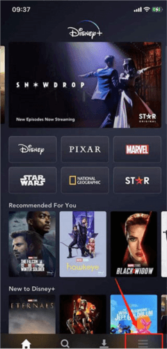 DisneyPlus2