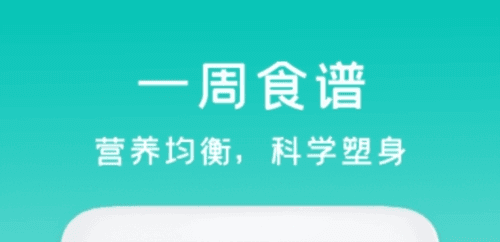 减肥食谱日记手机版2