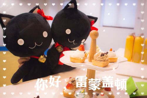 仙境传说RO:守护永恒的爱5