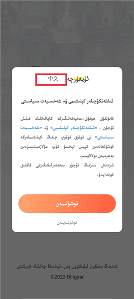 izdax如何设置中文配图1