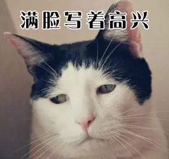 侠客风云传Online