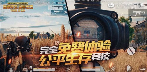 绝地求生:全军出击5