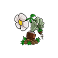 植物大战僵尸神金版下载安装_植物大战僵尸神金果冻人版下载 v1.1.3最新版