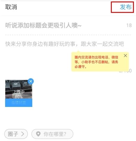 龙巅app9