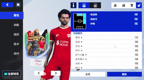 绿茵信仰2