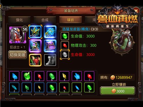 兽血再燃之装备培养3