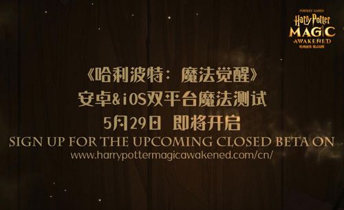 《哈利波特:魔法觉醒》