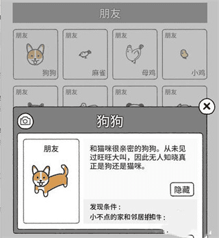 猫咪真的很可爱隐藏动物怎么找出来1