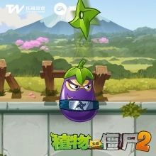 植物介绍配图2