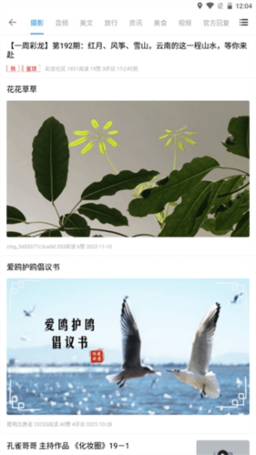 彩龙社区app使用教程4