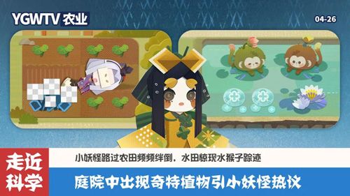 阴阳师:妖怪屋4