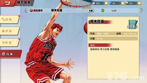 灌篮高手樱木花道图鉴