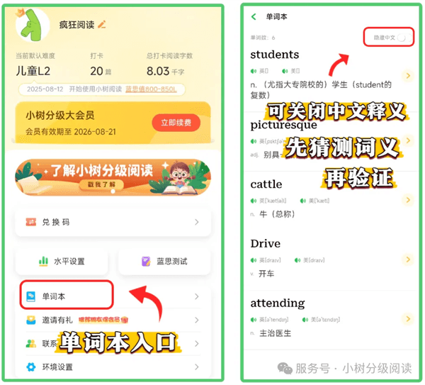 基础学习流程配图6