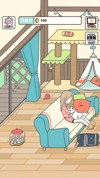 猫咪饲养日常中文版宣传图